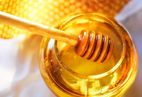 راهنمای خرید عسل موم دار قنقال + قیمت عالی